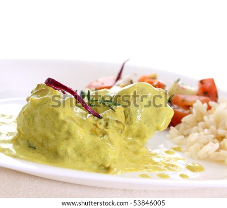 chicken curry with rice. stock photo : chicken curry