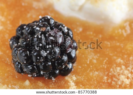 shallow DOF of a blackberry covered with sugar on a sweet dessert