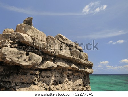 An iguana peers over the side of a rock face set aside the beautiful blue and azure blue of waters of the Mayan Riviera.