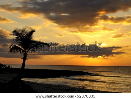 Rays of light peek out from behind the clouds as the sun sets on a beach in the Mayan Riviera, with a palm tree silhouetted in the foreground.