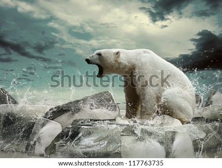 White Polar Bear Hunter On The Ice In Water Drops.
