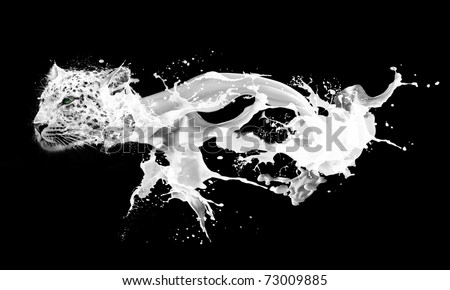 http://image.shutterstock.com/display_pic_with_logo/58920/58920,1299961170,8/stock-photo-abstract-image-of-milk-splashing-drops-in-leopards-form-73009885.jpg