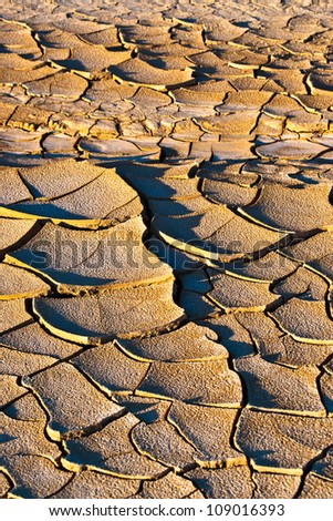 arid land in the desert of \