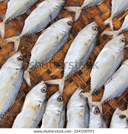 Close-up dried fish under the sun,  food preservation
