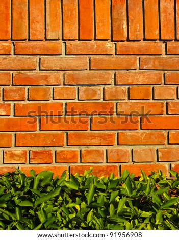 Brick wall background with green leaf