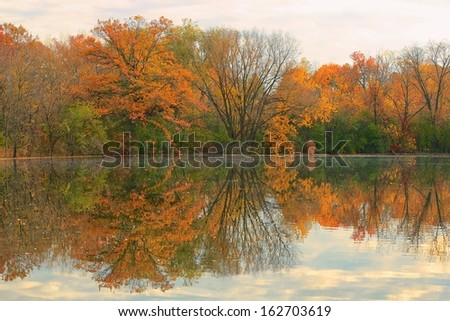 autumn trees reflection in pond