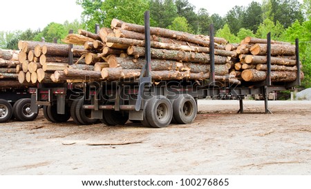 Pine timber stacked on trailer at lumber yard awaiting shipment