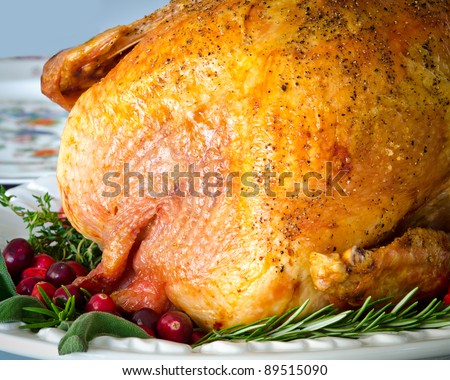 Roasted turkey stuffed with cranberries and herbs for Thanksgiving or Christmas dinner