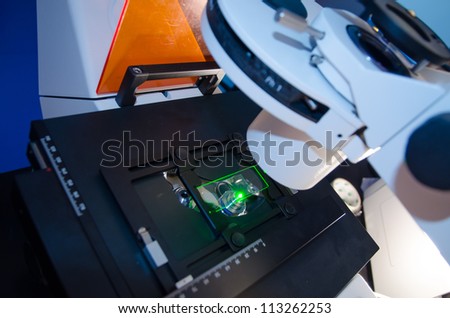 science slide under fluorescent microscope