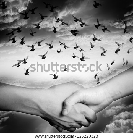hand shake with dove flying on sky, business concept black and white