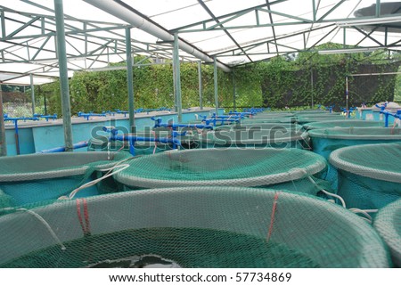 Agriculture aquaculture water system farm