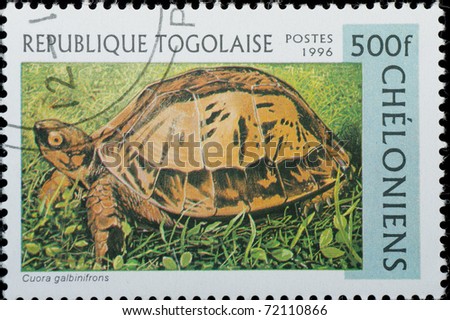 TOGO  - CIRCA 1996: A stamp printed in Togo  shows animal reptile turtle Cuora galbinifrons, circa 1996