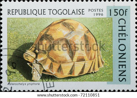 TOGO - CIRCA 1996: A stamp printed in Togo  shows animal reptile turtle Asterochelys yniphora, circa 1996
