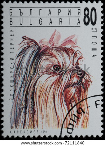 BULGARIA - CIRCA 1991: A stamp printed in BULGARIA shows animal pet dog portrait, circa 1991