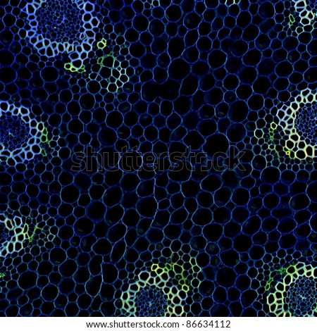 Plant Cell Background