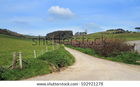 A Rural Landscape in Dorset, England with road between hills