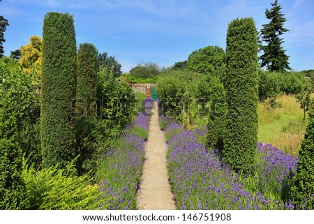 An English walled garden with a path lined with lavender leading to a gate