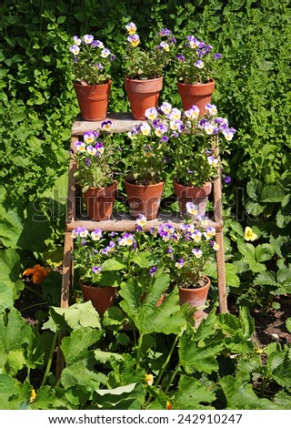 Colourful display of Flower filled pots on a stand