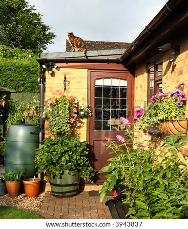 Flowering Hanging Baskets and Planters in an English Back Garden with a Cat sitting on the roof