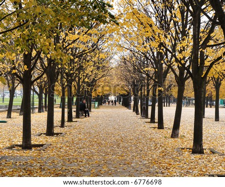 Autumn on an avenue of Trees in a Paris Park