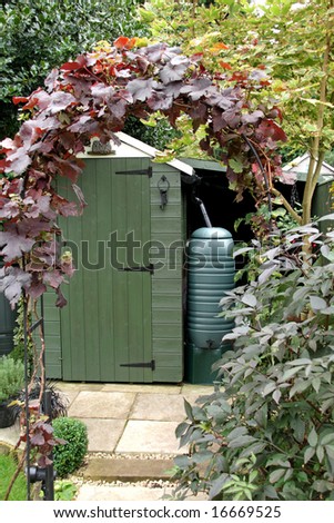 English back garden with Grapevine and arch with Shed and Water-butt in the background