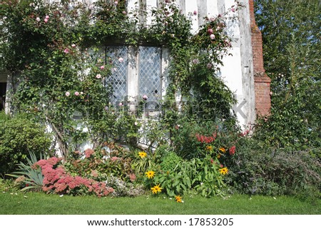 An English Country Garden with flowers climbing up a the wall of a timber framed house
