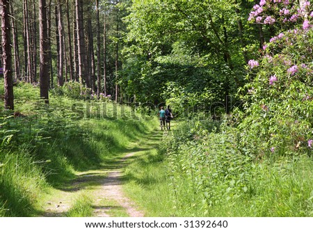 A man and a walking down an English woodland trail