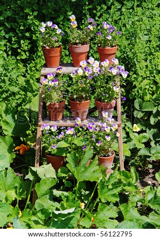 Rows of Flower Filled Pots sitting on a wooden Frame