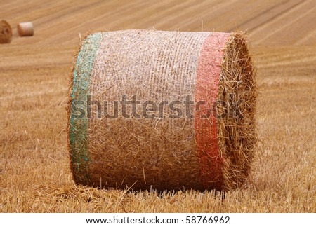 Close up of a Single Circular Bale of Hay wrapped in green and red colored twine