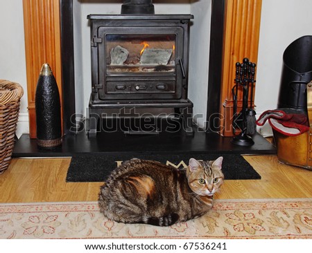 Homely scene of a Tabby Cat sitting on a rug in front of a blazing wood-burning stove