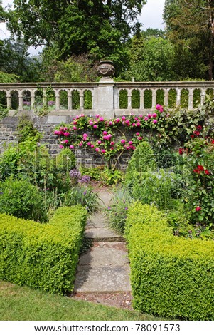 An English Landscape garden with box hedging and stone wall covered in roses