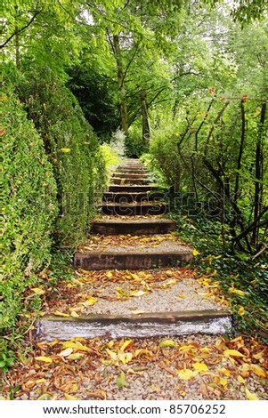 Steps in an English secret garden with autumn leaves on the ground