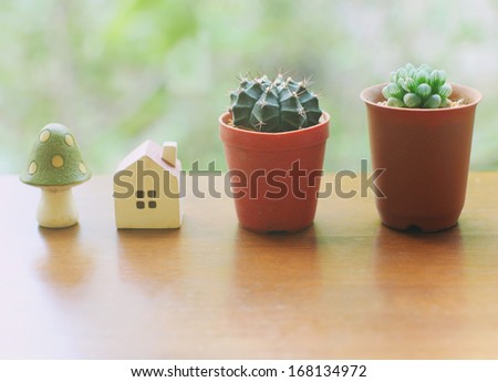 Cactus With Small House And Mushroom For Decorated, Retro Filter Effect