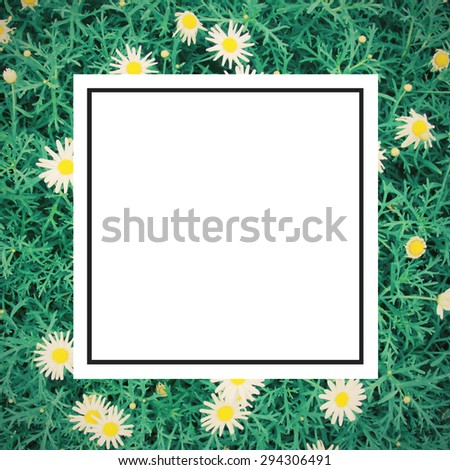 Daisy flowers background with retro filter effect and blank design frame label