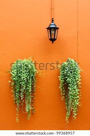 old lamp with green plants on orange wall
