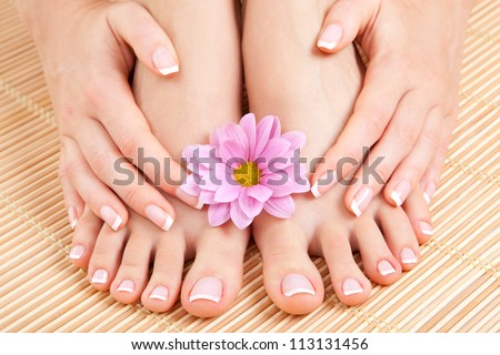care for beautiful woman legs care for beautiful woman legs