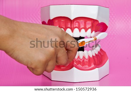 Showing how to brush teeth on a model on pink background(Focus on brush and teeth)