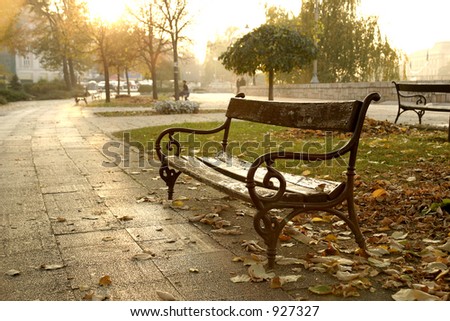 Old park bench. Surrounded by autumn atmosphere. Yellow leaves around the bench and sunset over horizon.