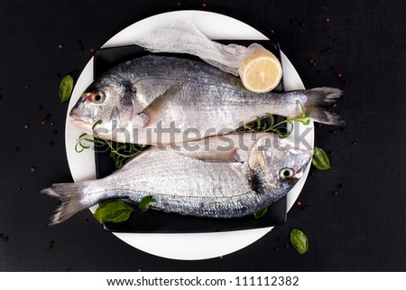 Two fresh sea bream fish on plate with fresh herbs basil, rosemary, cut lemon and colorful peppercorn, top view. Luxurious mediterranean seafood concept in black and white.