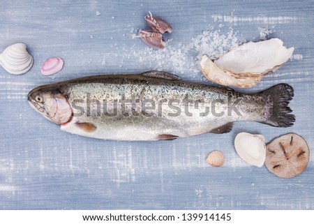 Fresh trout with various seashell and sea salt crystals on blue wooden background, top view. Luxurious mediterranean seafood eating background.