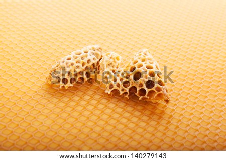 Honeycomb with royal jelly. Golden beekeeping background.