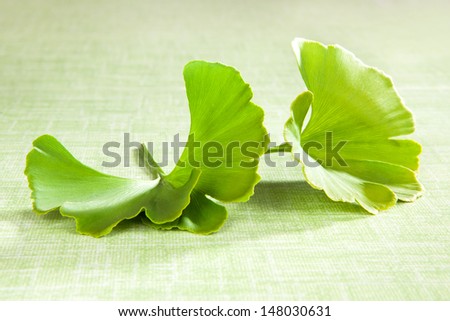Ginkgo leaf isolated on green background. Natural food supplement. Healthy lifestyle.