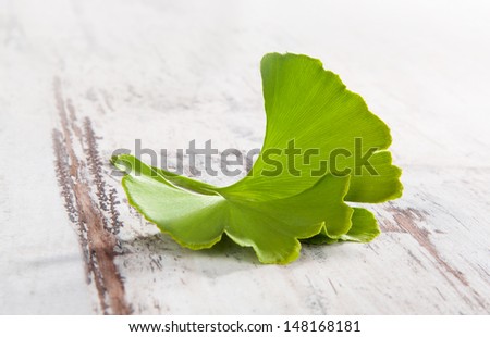 Single ginkgo leaf isolated on white wooden textured background. Herbal alternative medicine. Memory and concentration concept.