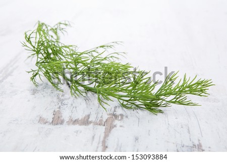 Fresh dill isolated on white wooden background. Culinary aromatic herbs.
