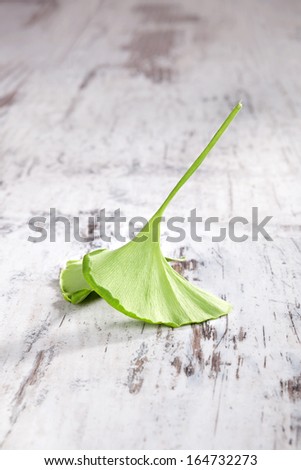 Single ginkgo leaf isolated on white wooden background. Natural healing, alternative medicine, country style.