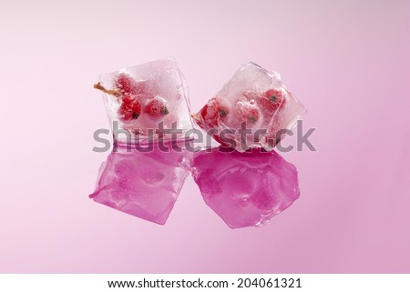 Redcurrant frozen in ice cubes isolated on pink background with reflections. Fresh summer fruit eating.