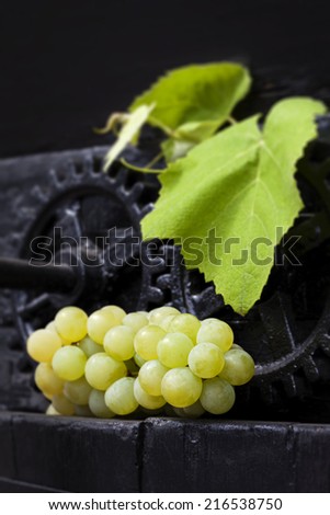 Green grapes with leaves on black old wooden antique wine press. Traditional wine making culture.