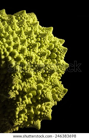 Romanesco broccoli isolated on black background. Healthy vegetable eating.