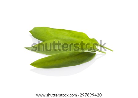 Wild garlic leaves isolated on white background. Spring detox, healthy eating.