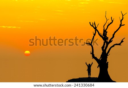 Silhouette of photographer hand up near a dead tree with sunset. Conceptual scene.